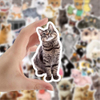Cute Simons Cat Decal Waterproof Vinyl Stickers