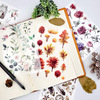 Decorative Color Custom Scratch Transfer Stickers Flower Planner Plant Rub-on Decal Sticker Logo Interior Diary Notebook Home