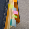 Colorful Sticky Notes Set Pet Page Marker Custom OEM Printed Plastic Cute Sticky Page Marker